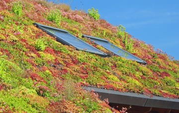 Hurdcott living roof systems