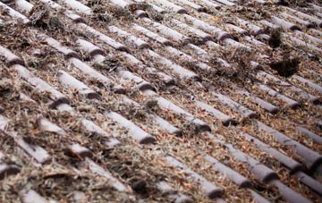 Hurdcott roof cleaning companies