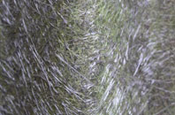 Hurdcott fibreglass roof work