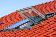 Hurdcott roof window